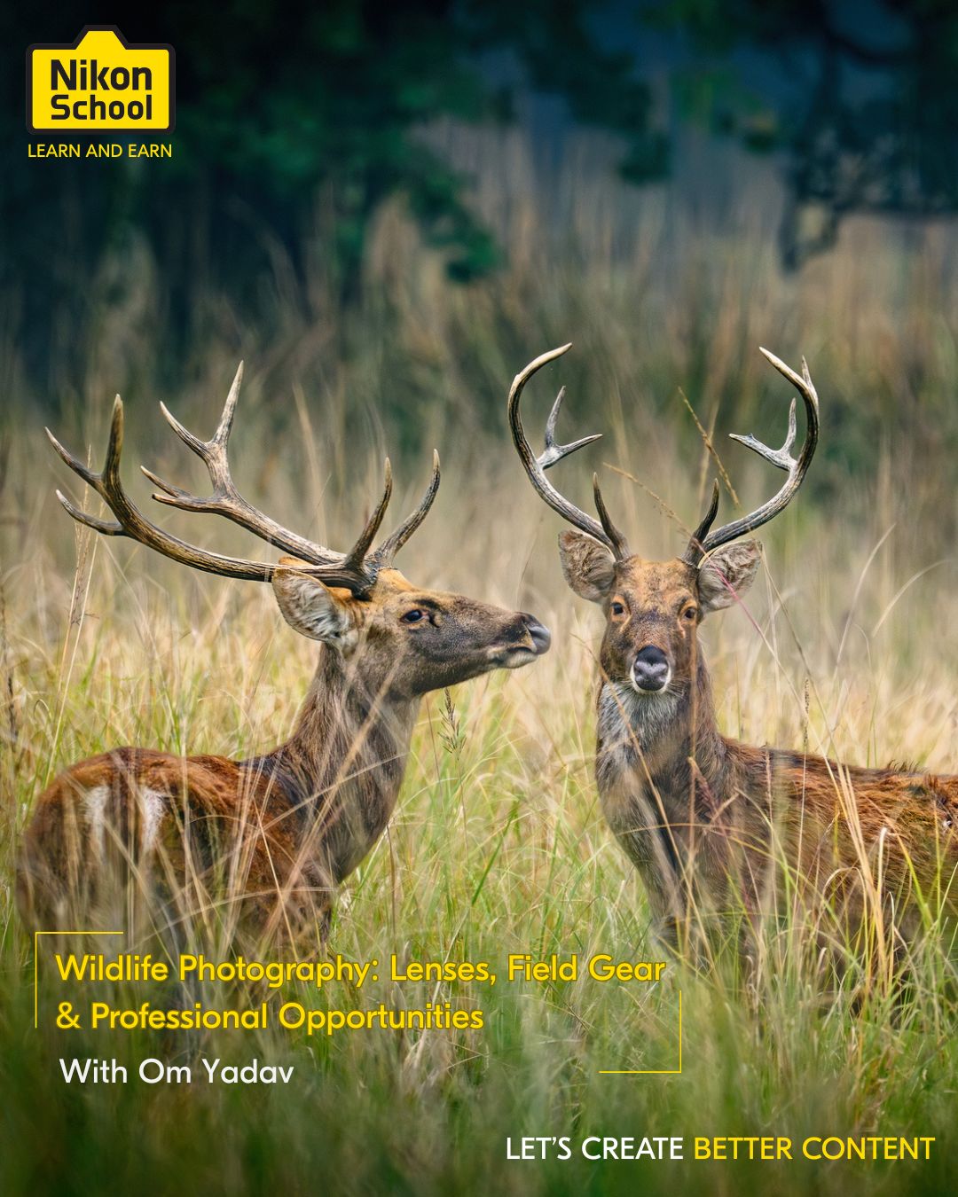 Wildlife Photography: Lenses, Field Gear & Professional Opportunities with Om Yadav