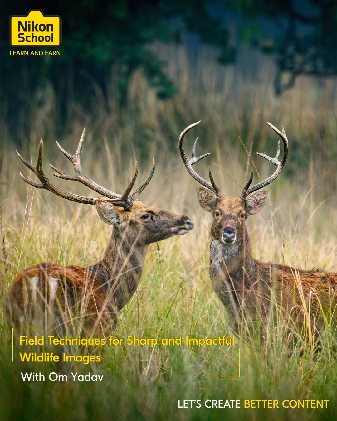 Wildlife Photography with Om Yadav